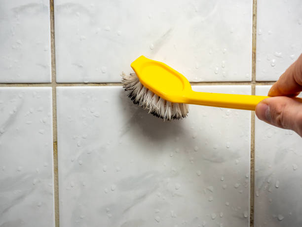 Best Mold Cleaning Services  in Mineola, NY