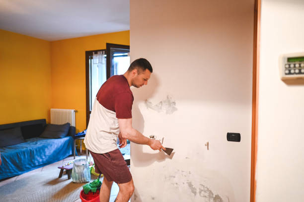 Best Professional Mold Removal  in Mineola, NY